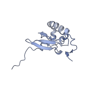 16347_8c00_E_v1-1
Enp1TAP-S21_A population of yeast small ribosomal subunit precursors depleted of rpS21/eS21