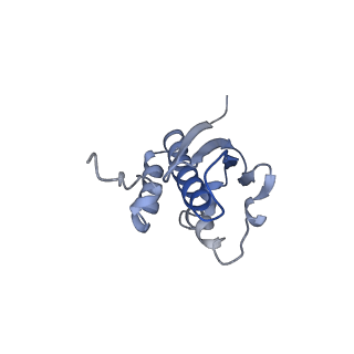 16347_8c00_F_v1-1
Enp1TAP-S21_A population of yeast small ribosomal subunit precursors depleted of rpS21/eS21