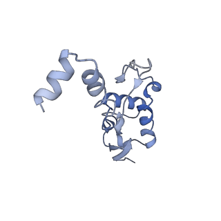 16347_8c00_H_v1-1
Enp1TAP-S21_A population of yeast small ribosomal subunit precursors depleted of rpS21/eS21