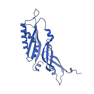 16347_8c00_Q_v1-1
Enp1TAP-S21_A population of yeast small ribosomal subunit precursors depleted of rpS21/eS21