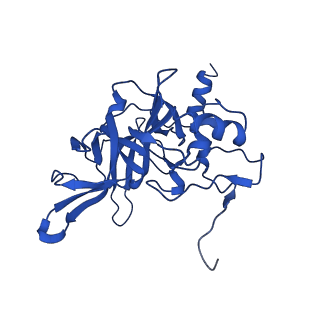 16347_8c00_S_v1-1
Enp1TAP-S21_A population of yeast small ribosomal subunit precursors depleted of rpS21/eS21