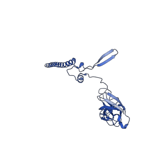 16347_8c00_T_v1-1
Enp1TAP-S21_A population of yeast small ribosomal subunit precursors depleted of rpS21/eS21