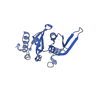 16347_8c00_U_v1-1
Enp1TAP-S21_A population of yeast small ribosomal subunit precursors depleted of rpS21/eS21