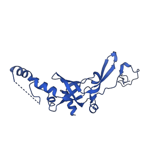 16347_8c00_V_v1-1
Enp1TAP-S21_A population of yeast small ribosomal subunit precursors depleted of rpS21/eS21