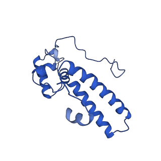 16347_8c00_Y_v1-1
Enp1TAP-S21_A population of yeast small ribosomal subunit precursors depleted of rpS21/eS21