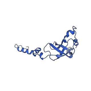 16347_8c00_c_v1-1
Enp1TAP-S21_A population of yeast small ribosomal subunit precursors depleted of rpS21/eS21