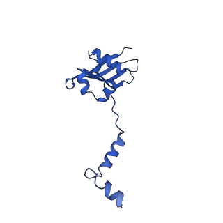16347_8c00_d_v1-1
Enp1TAP-S21_A population of yeast small ribosomal subunit precursors depleted of rpS21/eS21