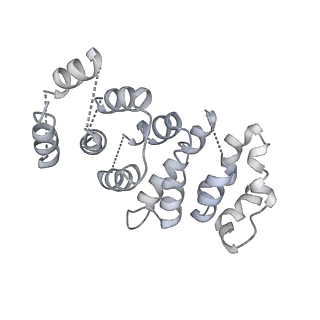 16347_8c00_e_v1-1
Enp1TAP-S21_A population of yeast small ribosomal subunit precursors depleted of rpS21/eS21
