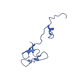 16347_8c00_f_v1-1
Enp1TAP-S21_A population of yeast small ribosomal subunit precursors depleted of rpS21/eS21