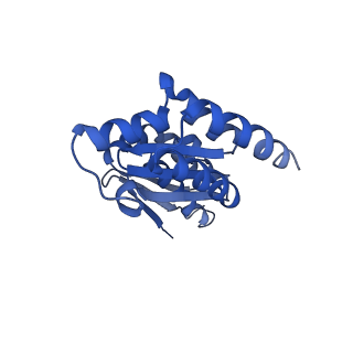 16347_8c00_p_v1-1
Enp1TAP-S21_A population of yeast small ribosomal subunit precursors depleted of rpS21/eS21
