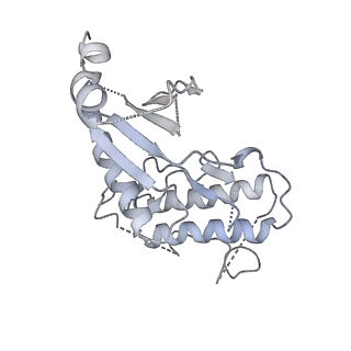 16347_8c00_r_v1-1
Enp1TAP-S21_A population of yeast small ribosomal subunit precursors depleted of rpS21/eS21