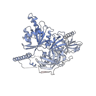 16347_8c00_t_v1-1
Enp1TAP-S21_A population of yeast small ribosomal subunit precursors depleted of rpS21/eS21