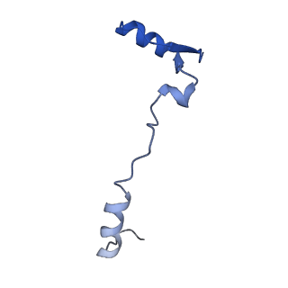 16349_8c01_C_v1-1
Enp1TAP_A population of yeast small ribosomal subunit precursors