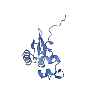 16349_8c01_E_v1-1
Enp1TAP_A population of yeast small ribosomal subunit precursors