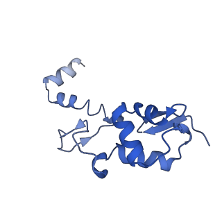 16349_8c01_H_v1-1
Enp1TAP_A population of yeast small ribosomal subunit precursors