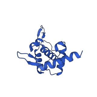 16349_8c01_I_v1-1
Enp1TAP_A population of yeast small ribosomal subunit precursors