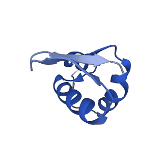 16349_8c01_K_v1-1
Enp1TAP_A population of yeast small ribosomal subunit precursors