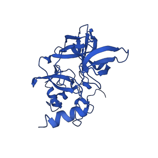 16349_8c01_S_v1-1
Enp1TAP_A population of yeast small ribosomal subunit precursors