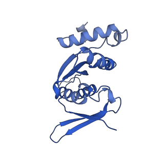 16349_8c01_U_v1-1
Enp1TAP_A population of yeast small ribosomal subunit precursors