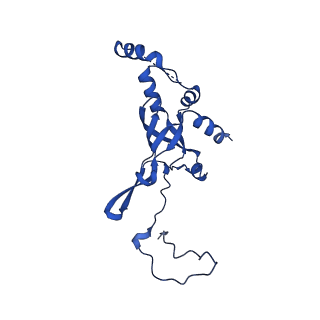 16349_8c01_V_v1-1
Enp1TAP_A population of yeast small ribosomal subunit precursors