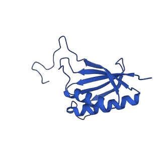 16349_8c01_Z_v1-1
Enp1TAP_A population of yeast small ribosomal subunit precursors