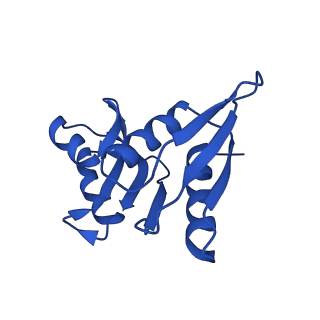 16349_8c01_b_v1-1
Enp1TAP_A population of yeast small ribosomal subunit precursors