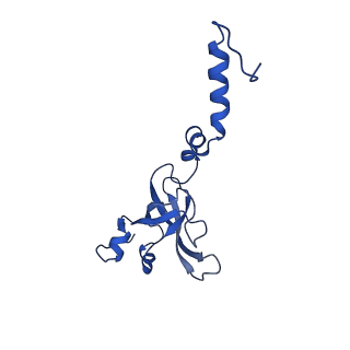16349_8c01_c_v1-1
Enp1TAP_A population of yeast small ribosomal subunit precursors