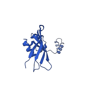 16349_8c01_d_v1-1
Enp1TAP_A population of yeast small ribosomal subunit precursors