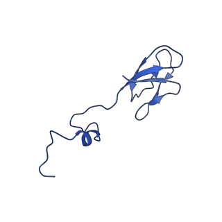 16349_8c01_f_v1-1
Enp1TAP_A population of yeast small ribosomal subunit precursors
