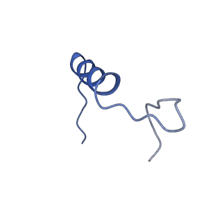 16349_8c01_g_v1-1
Enp1TAP_A population of yeast small ribosomal subunit precursors