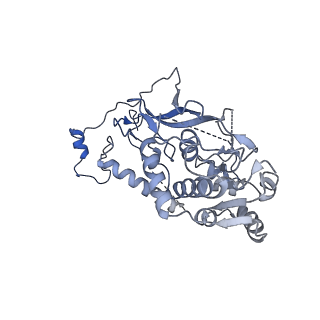 16349_8c01_o_v1-1
Enp1TAP_A population of yeast small ribosomal subunit precursors