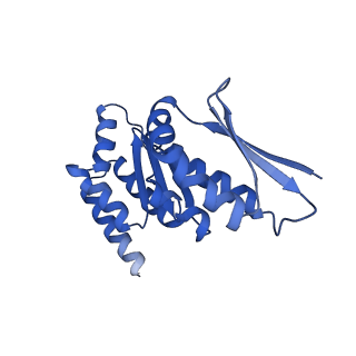 16349_8c01_p_v1-1
Enp1TAP_A population of yeast small ribosomal subunit precursors