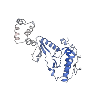 16349_8c01_r_v1-1
Enp1TAP_A population of yeast small ribosomal subunit precursors