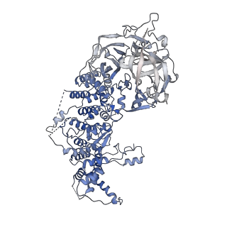 16355_8c06_A_v1-2
Structure of Dimeric HECT E3 Ubiquitin Ligase UBR5