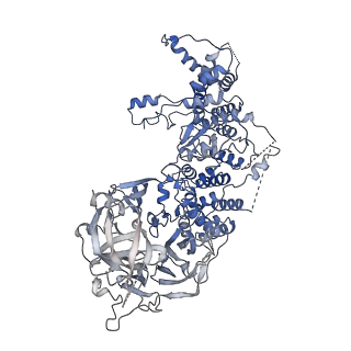 16355_8c06_D_v1-1
Structure of Dimeric HECT E3 Ubiquitin Ligase UBR5