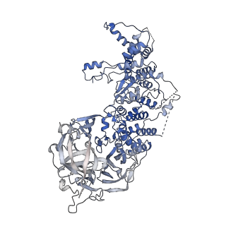 16355_8c06_D_v1-2
Structure of Dimeric HECT E3 Ubiquitin Ligase UBR5