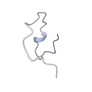 16355_8c06_G_v1-1
Structure of Dimeric HECT E3 Ubiquitin Ligase UBR5