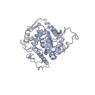 16356_8c07_B_v1-1
Structure of HECT E3 UBR5 forming K48 linked Ubiquitin chains