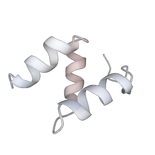 16356_8c07_J_v1-1
Structure of HECT E3 UBR5 forming K48 linked Ubiquitin chains