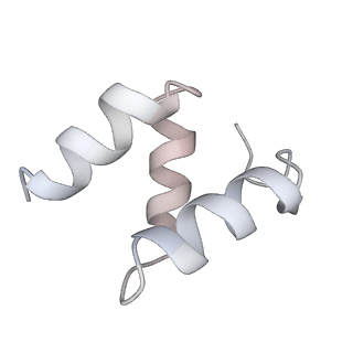 16356_8c07_J_v1-2
Structure of HECT E3 UBR5 forming K48 linked Ubiquitin chains