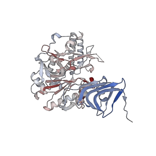16357_8c0b_A_v1-0
CryoEM structure of Aspergillus nidulans UTP-glucose-1-phosphate uridylyltransferase