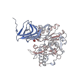 16357_8c0b_C_v1-0
CryoEM structure of Aspergillus nidulans UTP-glucose-1-phosphate uridylyltransferase
