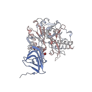 16357_8c0b_D_v1-0
CryoEM structure of Aspergillus nidulans UTP-glucose-1-phosphate uridylyltransferase