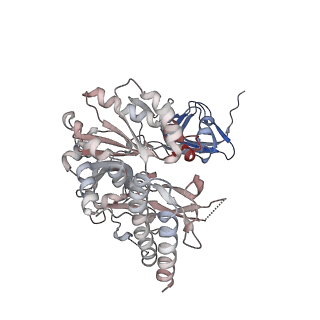 16357_8c0b_E_v1-0
CryoEM structure of Aspergillus nidulans UTP-glucose-1-phosphate uridylyltransferase