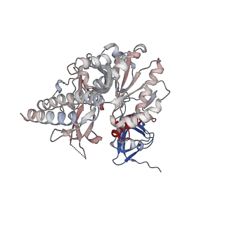 16357_8c0b_F_v1-0
CryoEM structure of Aspergillus nidulans UTP-glucose-1-phosphate uridylyltransferase