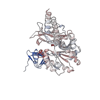 16357_8c0b_G_v1-0
CryoEM structure of Aspergillus nidulans UTP-glucose-1-phosphate uridylyltransferase