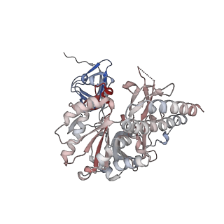 16357_8c0b_H_v1-0
CryoEM structure of Aspergillus nidulans UTP-glucose-1-phosphate uridylyltransferase