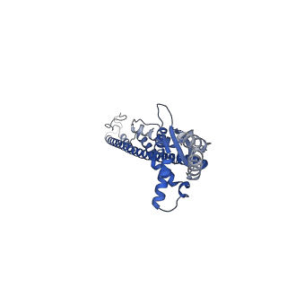 16364_8c0e_A_v1-0
The lipid linked oligosaccharide polymerase Wzy and its regulating co-polymerase Wzz form a complex in vivo and in vitro