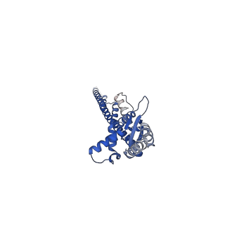 16364_8c0e_B_v1-0
The lipid linked oligosaccharide polymerase Wzy and its regulating co-polymerase Wzz form a complex in vivo and in vitro