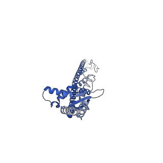 16364_8c0e_C_v1-0
The lipid linked oligosaccharide polymerase Wzy and its regulating co-polymerase Wzz form a complex in vivo and in vitro